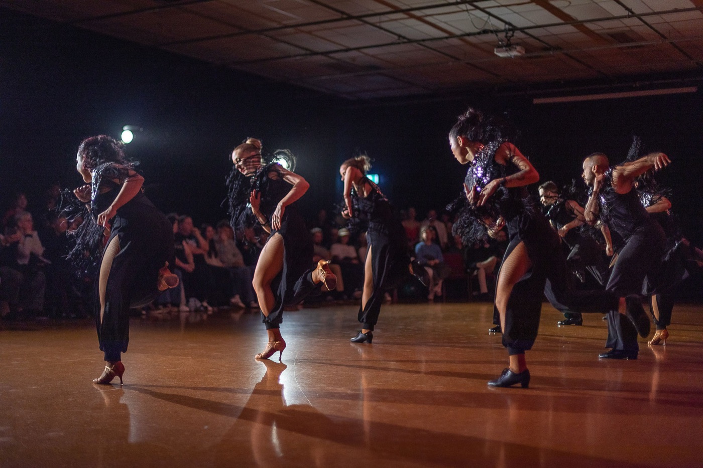 Sunday night: The Mayan Floor Show
